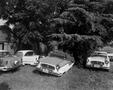 Photograph: [Automobiles in a yard #1]