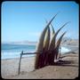Primary view of [Canoes at Huanchaco Beach]