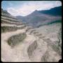 Photograph: [Agricultural Terraces in Pisac, Peru]