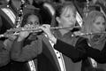 Photograph: [Flautists perform with Green Brigade]