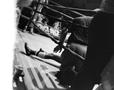 Photograph: [A boxer laying on the floor #1]