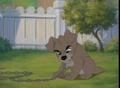 Video: [News Clip: Lady and the Tramp II]