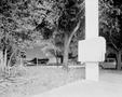 Photograph: [Front yard at 905 Hawthorne]