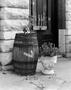Photograph: [Photograph of a barrel outside of Daddio's]
