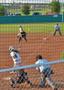 Primary view of [Maddelyn Fraley bats during WKU game]