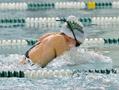 Photograph: [UNT swim member performs breaststroke at NMSU meet]
