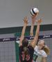 Primary view of [Noelle Langenkamp attempts to block hit by Courtney Windham]
