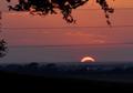 Photograph: [Partial solar eclipse, view from McKenna Park, 5]