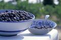 Photograph: [Two bowls of blueberries]