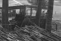 Photograph: [Hulen Wilcox and other laborers loading the press with sugarcane, 2]