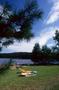 Primary view of [Two outdoor lounge chairs near Daingerfield State Park lake, 2]