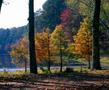 Primary view of [Daingerfield State Park Lake during autumn, 3]