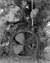 Photograph: [A fan and two barrels covered in foliage]