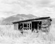 Photograph: [An old shack in Taos]