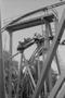 Photograph: [An amusement ride with passengers riding down tracks at Six Flags Ov…