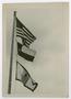 Photograph: [Two UNT flags are flown under the U.S. flag on a flagpole]