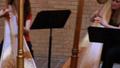 Video: [A video of six harpists performing as a group, 1]