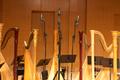 Primary view of [Harps in Voertman Hall, 1]