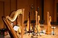 Photograph: [Harps in Voertman Hall, 2]