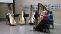 Photograph: [HarpBeats perform at "Music at Noon" event, 3]