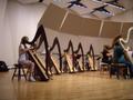 Photograph: [Two rows of harpists performing]