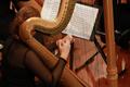 Photograph: [A woman playing a harp while looking at a music stand]