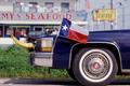 Photograph: [Longhorn Cadillac Showcasing Texan Pride in Kemah]