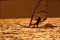 Primary view of [South Padre Island: A Windsurfer's Paradise]