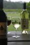 Photograph: [Vineyard Bliss: Wine Tasting at Los Pinos Ranch Vineyards]