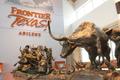 Photograph: [Longhorn display in Frontier Texas]