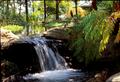Photograph: [Enchanting Waterfall Oasis: East Texas Arboretum's Natural Wonder]