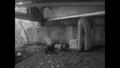 Video: [News Clip: 50 pounds of nitro found under bridge]