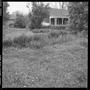 Primary view of [Overgrown side yard]