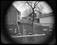 Photograph: [Backyard behind a chain link fence]
