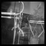 Photograph: [Coathanger in a shop]