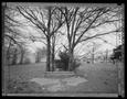 Photograph: [House Site with Trees, 1991]