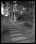 Photograph: [Ireland Garden Steps, 2000]
