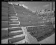 Photograph: [Amphitheater of Alexandria, 2001]