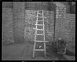 Primary view of [Egypt Edfu Ladder, 2001]