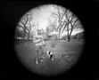 Photograph: [Guy with Dog Founders Park, 2021]