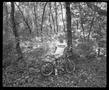 Primary view of [Bicycle Boy in the Chickasaw Woods, 1991]