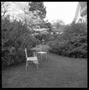 Photograph: [Chairs in Yard, 1978]