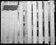 Photograph: [Alley Fence, 1980]