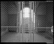 Primary view of [Arch Behind Chain Link Fence, 1981]