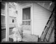 Primary view of [Dog Lady Aperture, 1988]