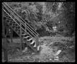 Photograph: [Yard with Stairs, 1987]