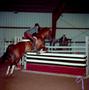 Photograph: [A dark brown horse with white socks jumping over an obstacle]