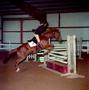 Photograph: [A chocolate brown horse jumping over an obstacle, 2]