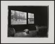 Photograph: [A child lying on the floor in front of a window]