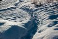 Photograph: [Snow Path]